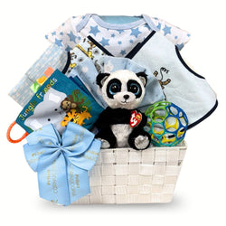 Welcome to the World Baby Boy Gift Basket
